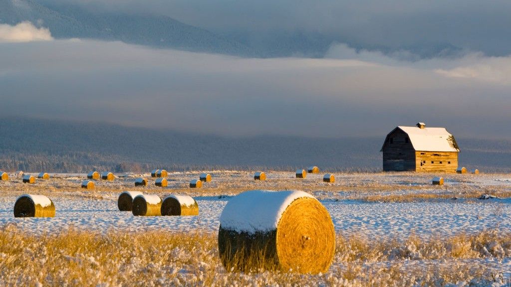 Clima: Una AMOC debilitada podría reducir las cosechas