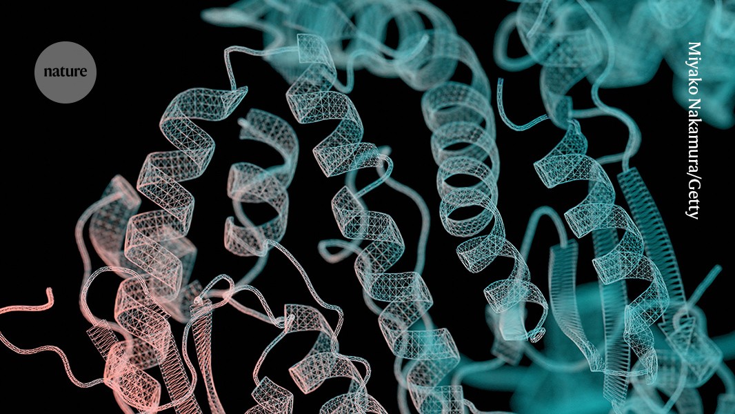IA: los datos secretos de las farmacéuticas mejoran los modelos de proteínas