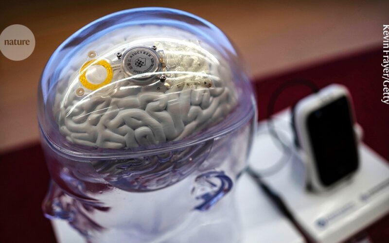 Neurociencia: un implante traduce habla y gestos a la vez