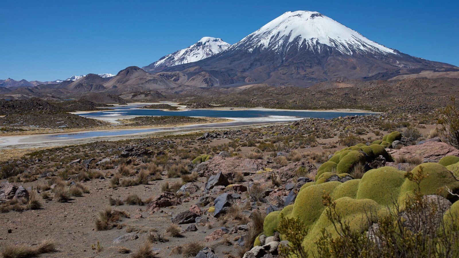 Geología: Una erupción guardó el pasado de los Andes