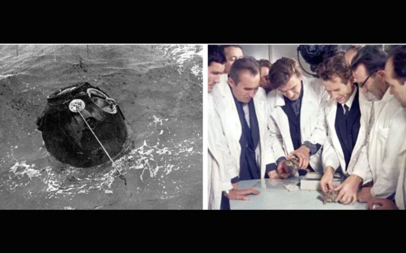 Espacio: Las tortugas que viajaron alrededor de la Luna
