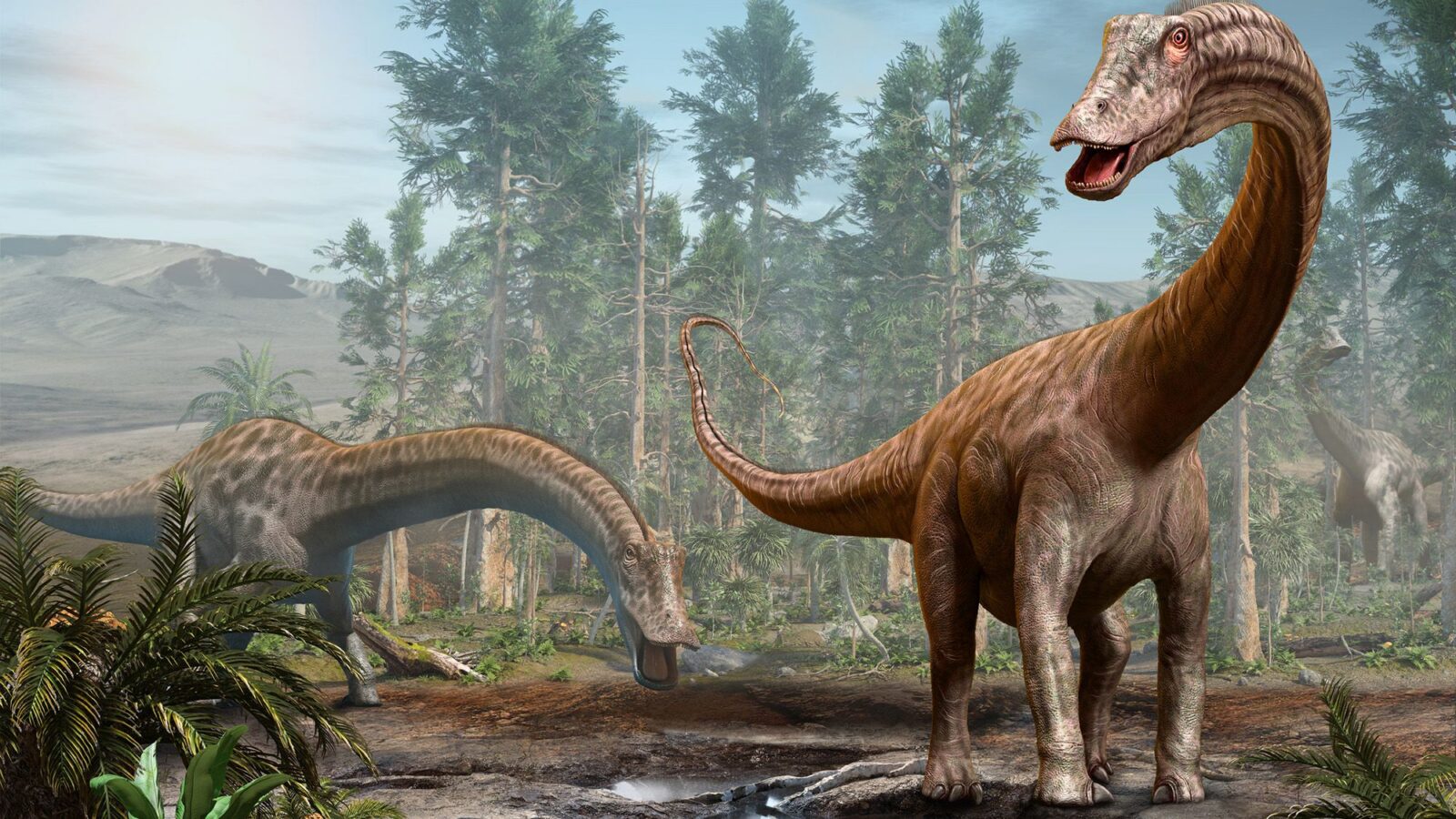 Paleo: Hallan los primeros fósiles de Diplodocus en Europa