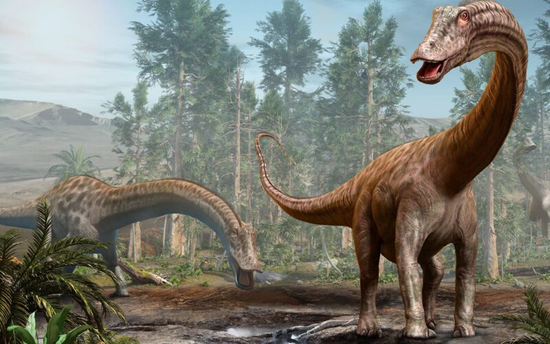 Paleo: Hallan los primeros fósiles de Diplodocus en Europa