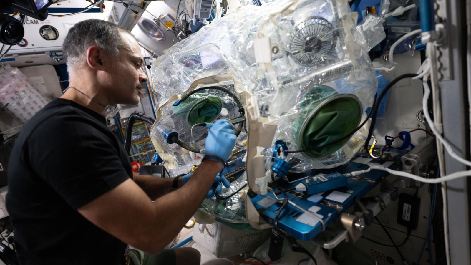Espacio: Cartílago y circuitos a prueba en órbita