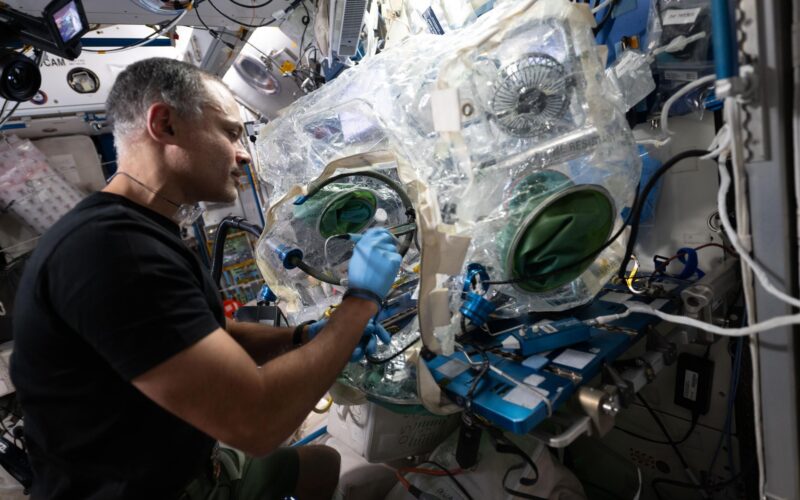 Espacio: Cartílago y circuitos a prueba en órbita