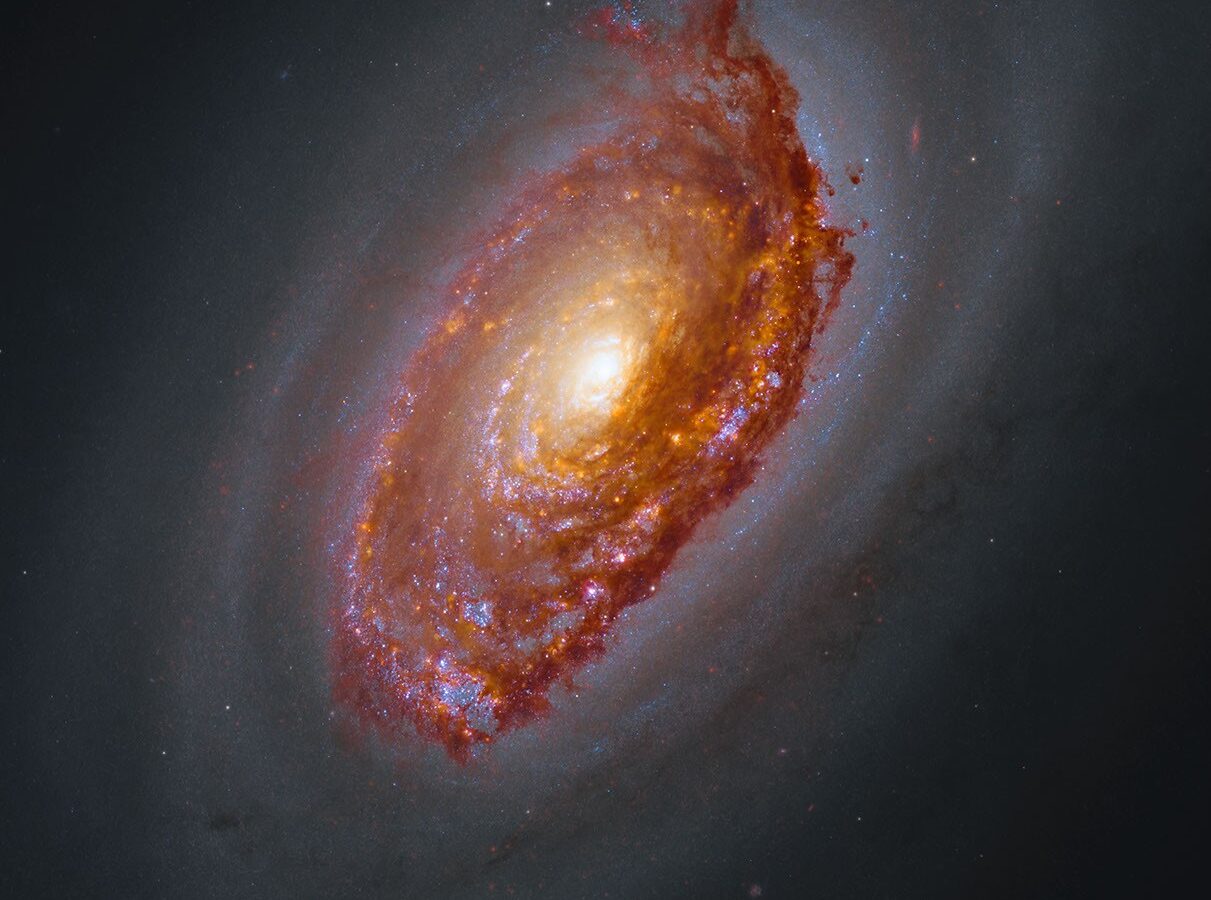 Espacio: Webb ilumina el polvo oscuro de M64