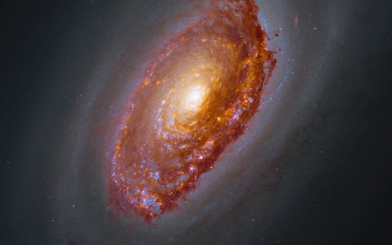 Espacio: Webb ilumina el polvo oscuro de M64