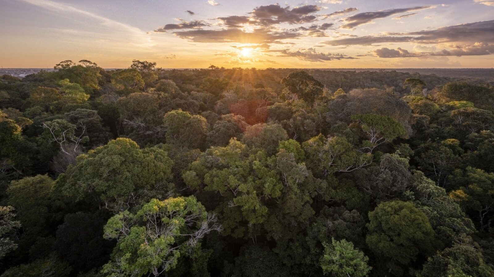 Clima: El Niño y el crimen amenazan la Amazonía