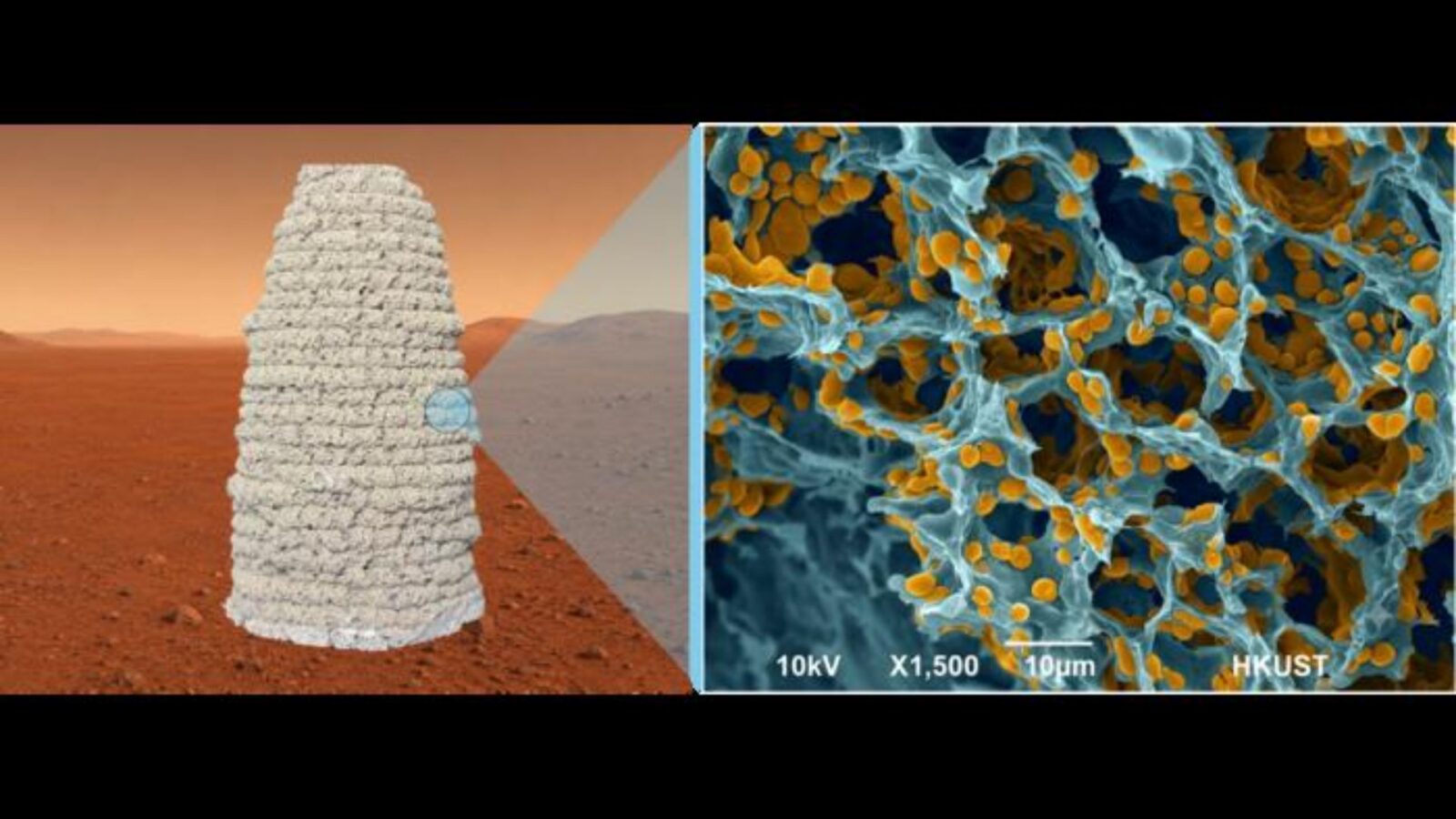 Espacio: Levadura y gelatina para construir en Marte