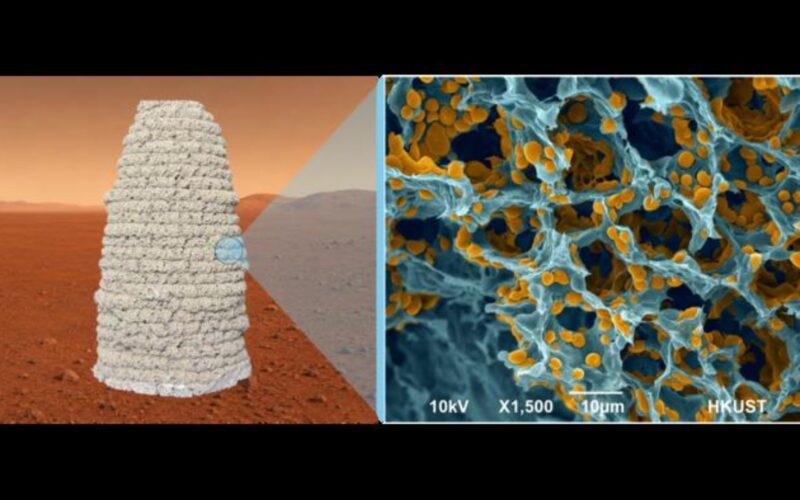 Espacio: Levadura y gelatina para construir en Marte