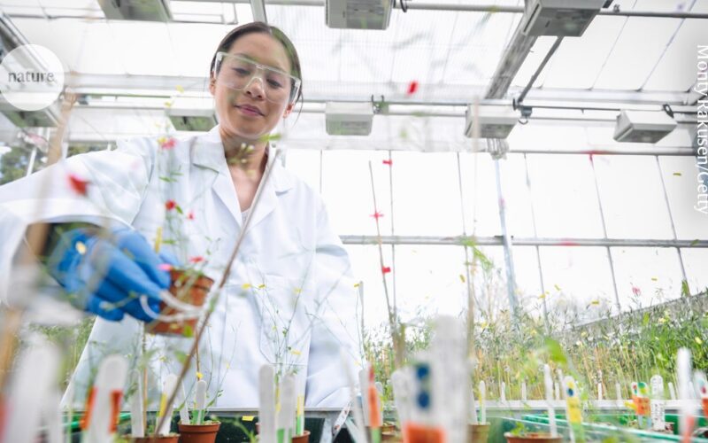Carrera científica: dos ayudas europeas y adiós al laboratorio