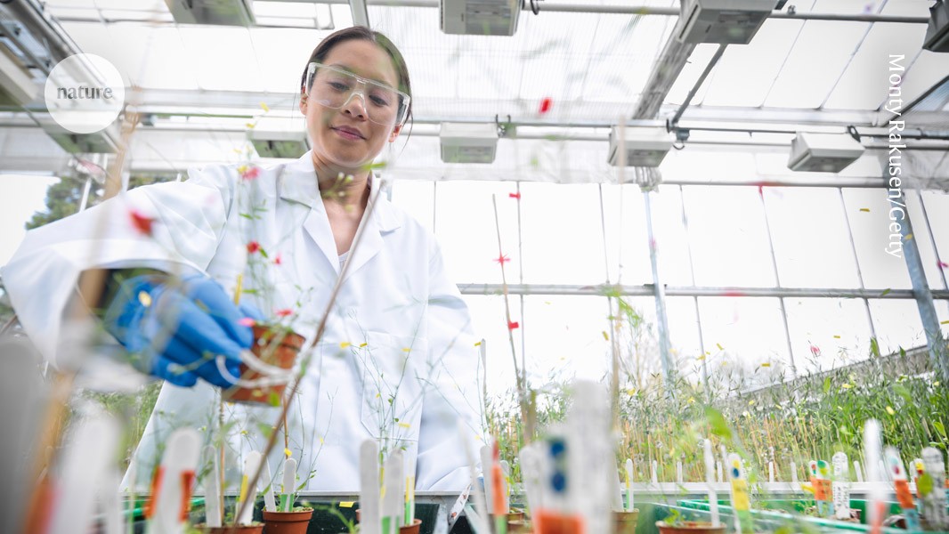 Carrera científica: dos ayudas europeas y adiós al laboratorio
