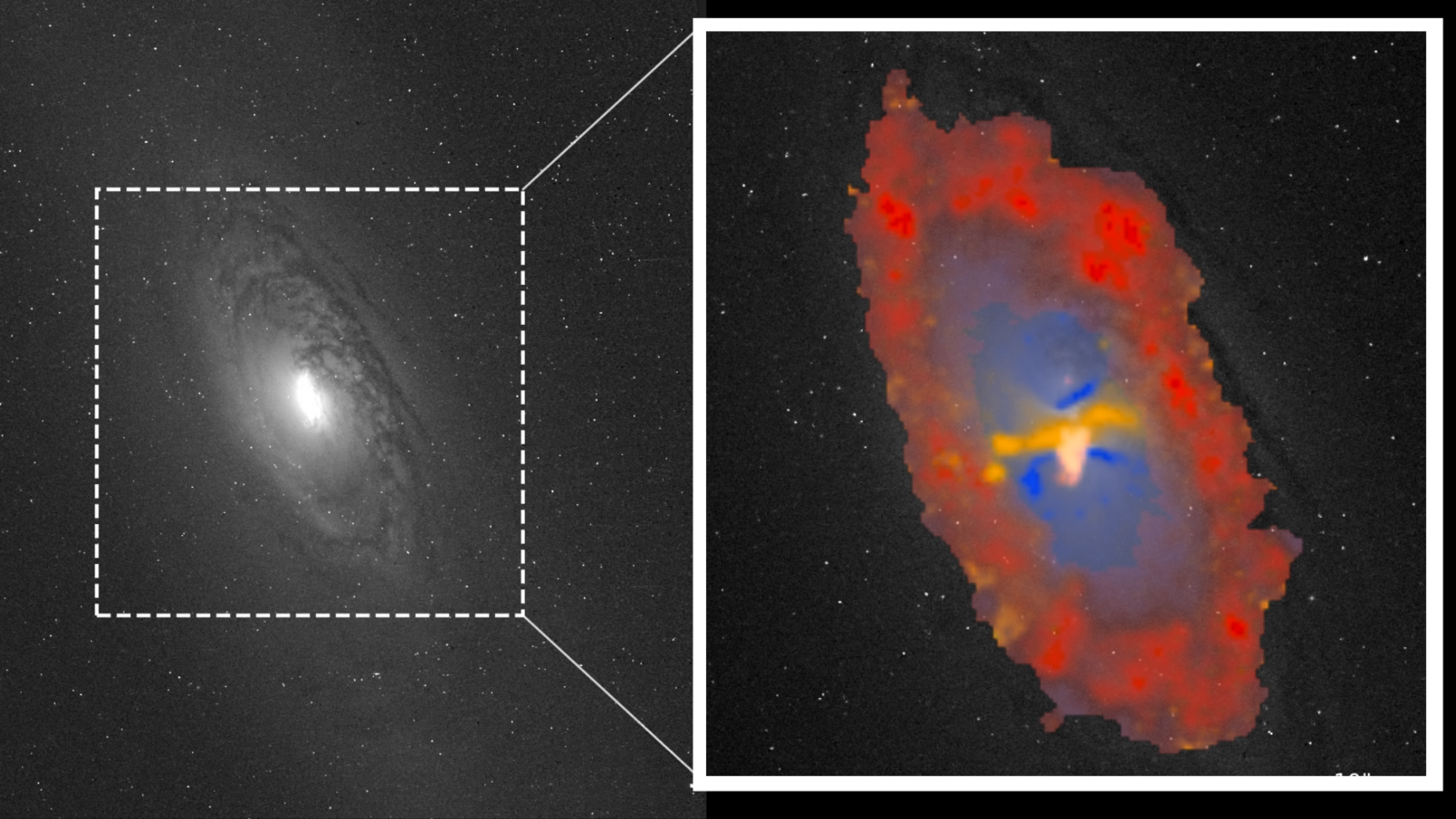 Espacio: los agujeros negros deciden dónde nacen las estrellas