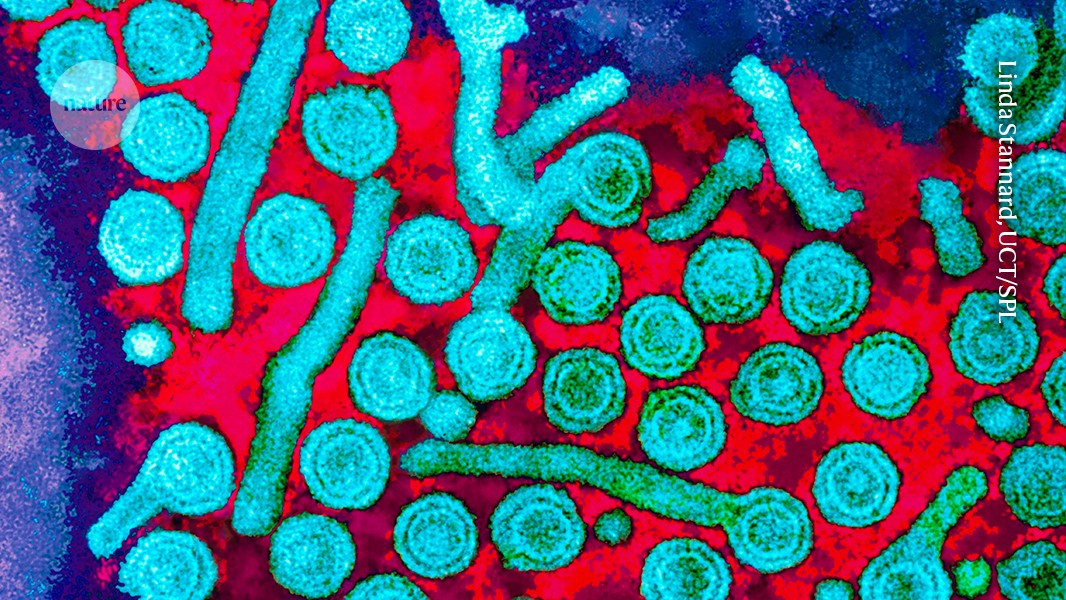 Medicina: apagan el virus de la hepatitis B sin cortar su ADN