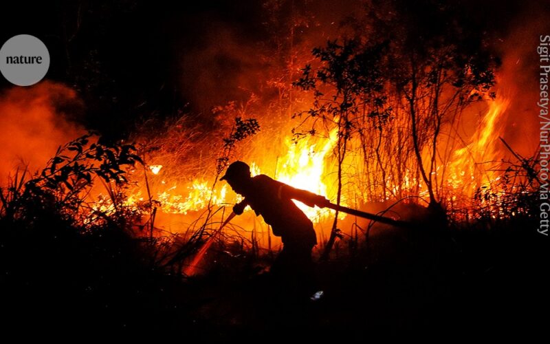 Clima: El Niño podría romper el récord histórico