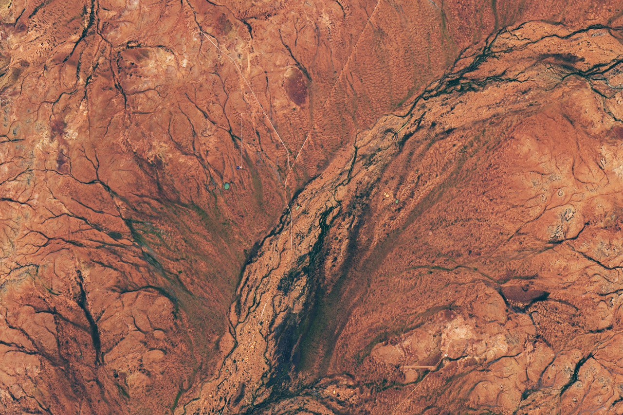 Clima: El desierto de Australia Occidental se cubre de flores