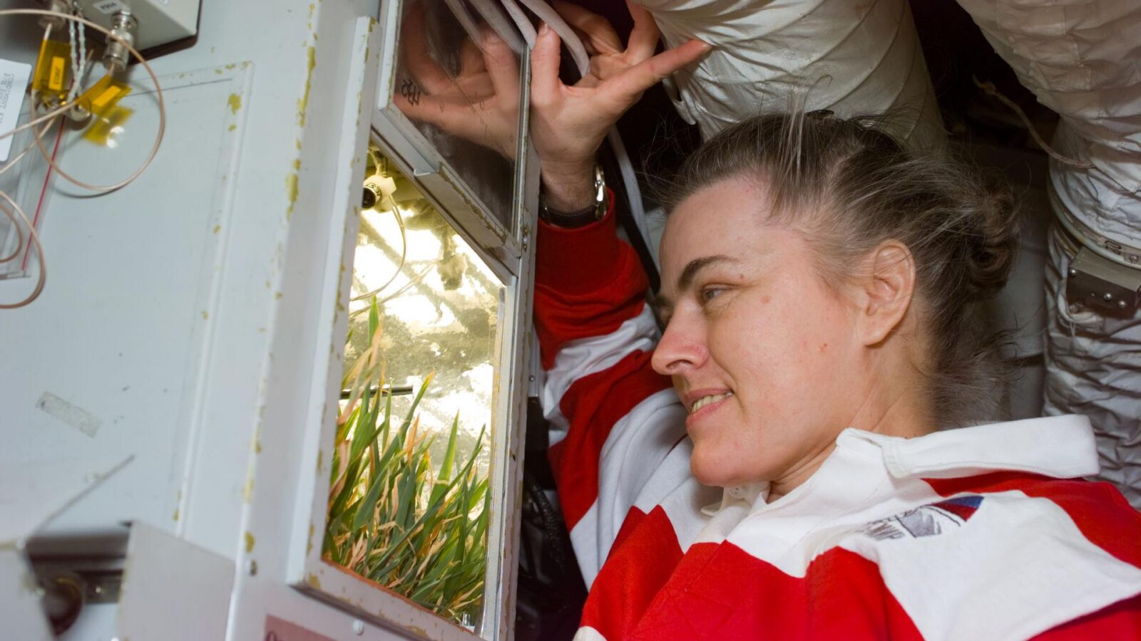 Espacio: Shannon Lucid y sus 188 días a bordo de la Mir