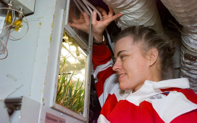 Espacio: Shannon Lucid y sus 188 días a bordo de la Mir