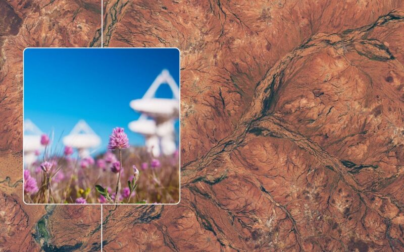 Ecología: El desierto australiano florece a vista de satélite