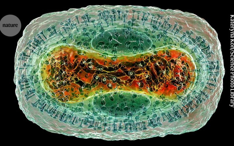 Biología: AlphaFold suma más de 8 000 complejos virales