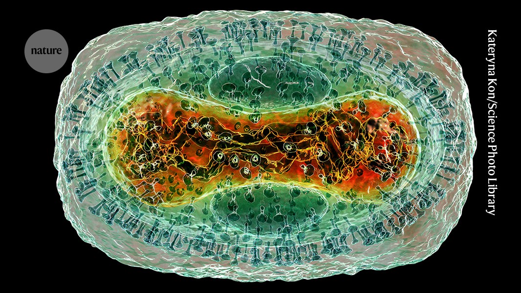 Biología: AlphaFold suma más de 8 000 complejos virales