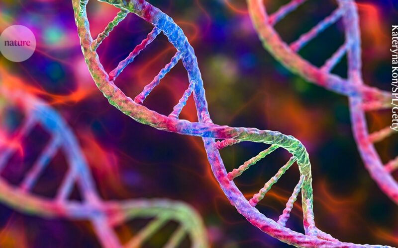Genética: Hallan ADN parecido a CRISPR en virus gigantes
