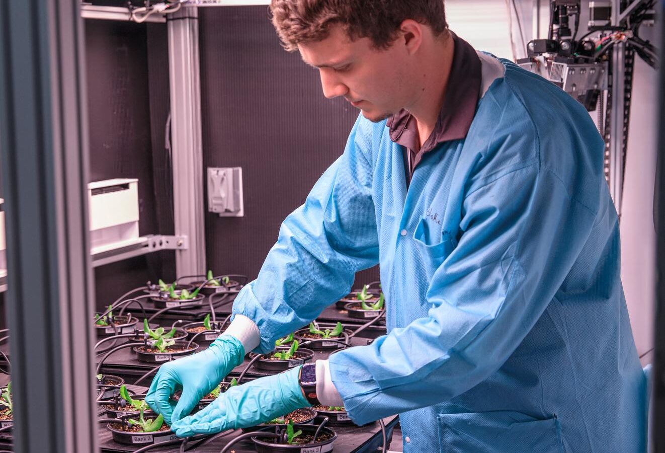 Espacio: Preparan en Tierra los futuros cultivos lunares
