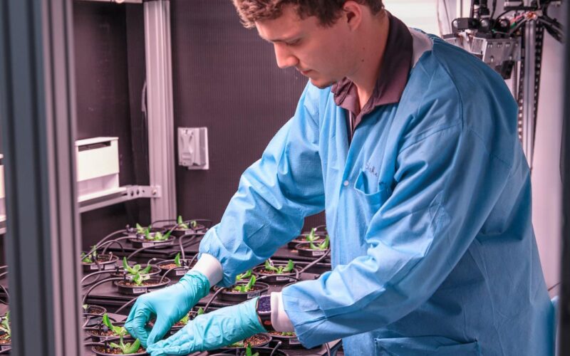 Espacio: Preparan en Tierra los futuros cultivos lunares