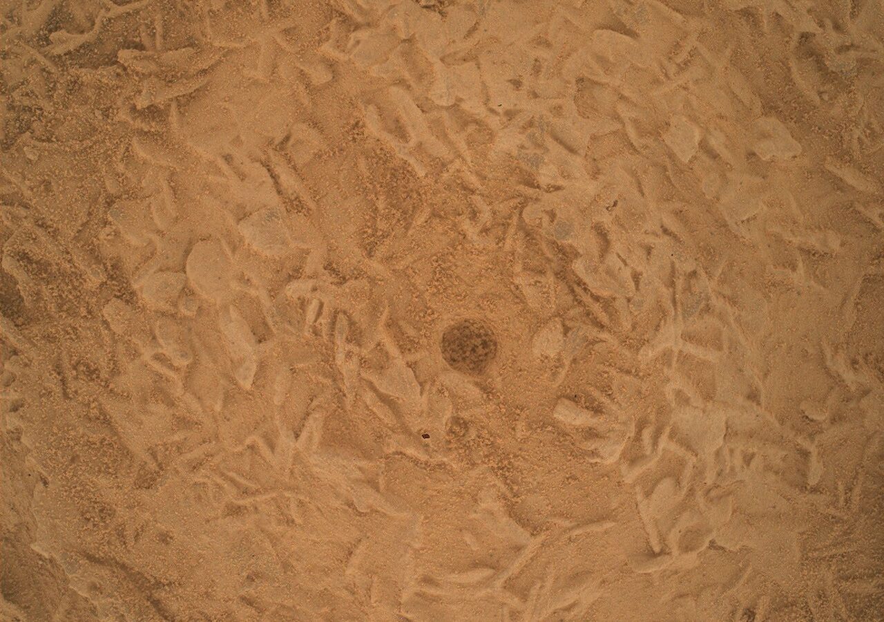 Espacio: Curiosity prepara una perforación tras hallar rocas con discos