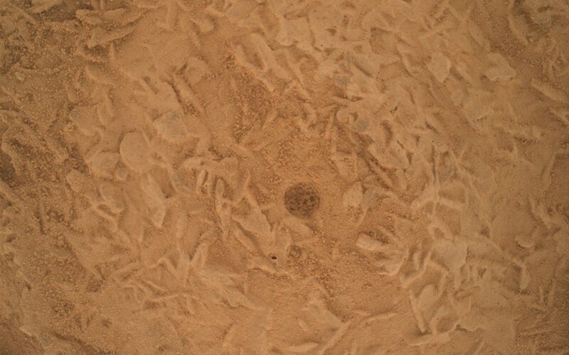 Espacio: Curiosity prepara una perforación tras hallar rocas con discos