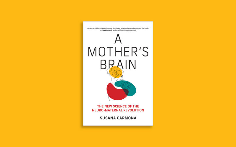 Neurociencia: Qué cambia en el cerebro al ser madre