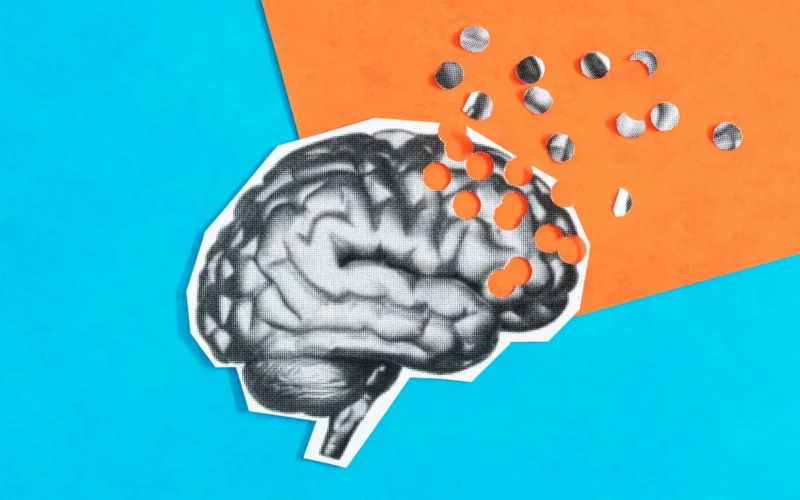 Genética: APOE4 apunta a cicatrices en vasos cerebrales