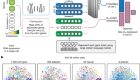 IA/Tech: EE. UU. apaga dos modelos para extranjeros