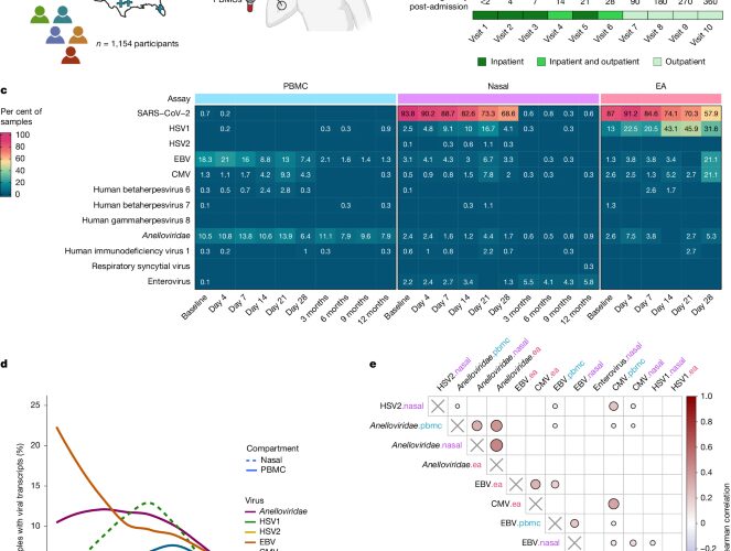 Salud: Virus latentes reaparecen durante la COVID-19