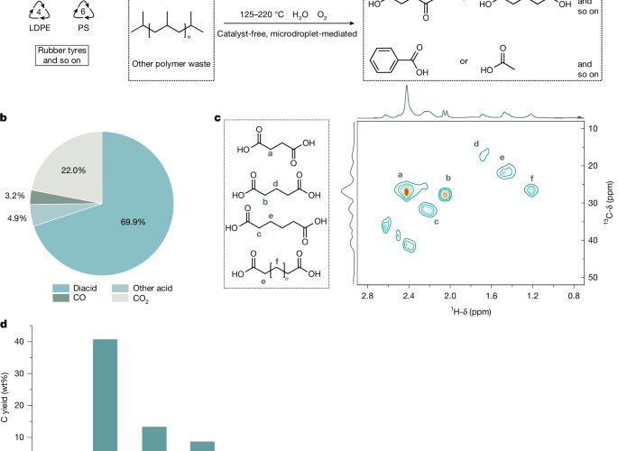 Química: Plásticos a diácidos sin catalizadores