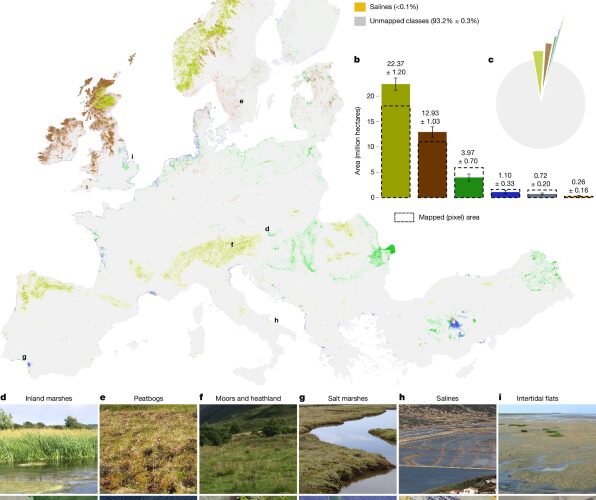 Clima: Europa subestima sus humedales pequeños