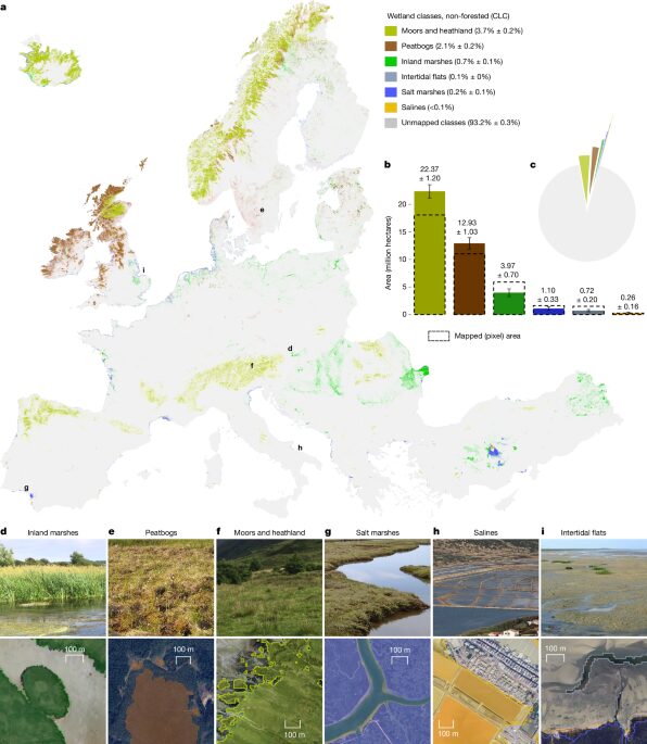 Clima: Europa subestima sus humedales pequeños