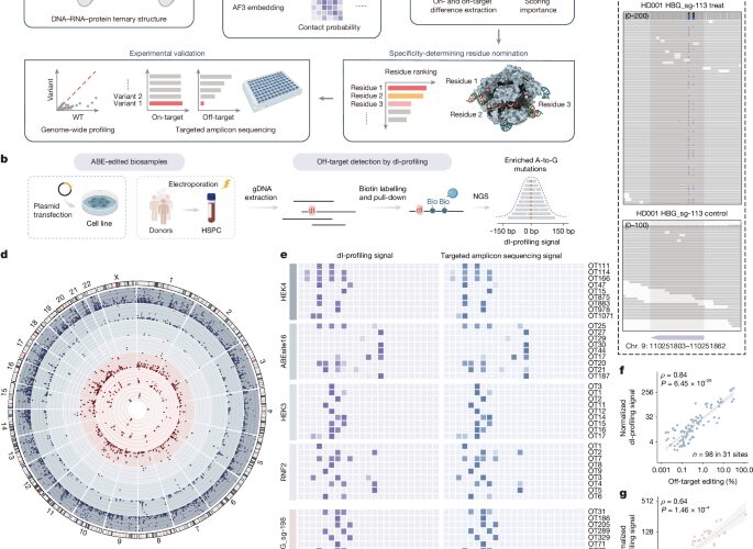 Genética: AlphaFold3 guía editores de ADN más precisos