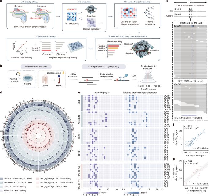 Genética: AlphaFold3 guía editores de ADN más precisos