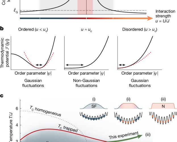 Física: Fluctuaciones no gaussianas en una transición de fase