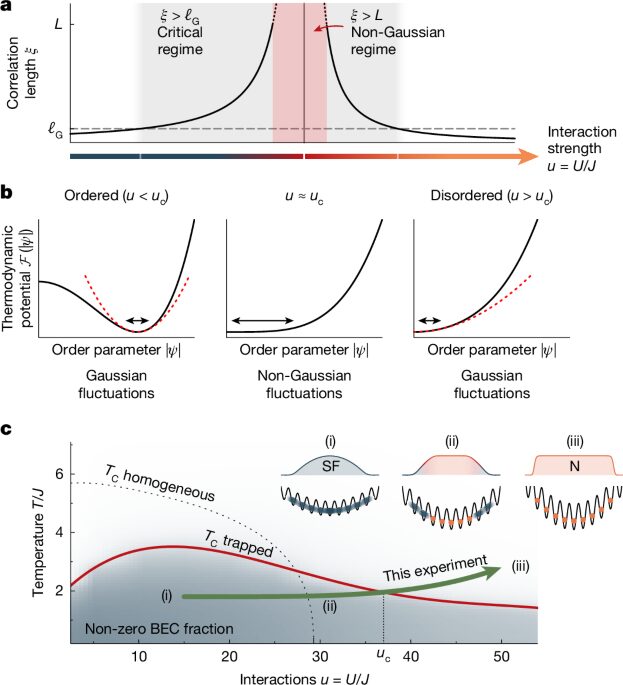 Física: Fluctuaciones no gaussianas en una transición de fase