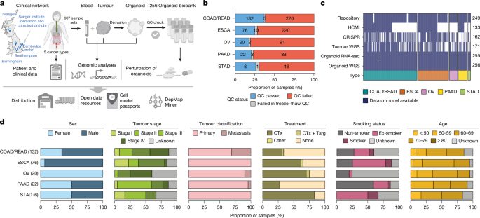 Genética: Un mapa de dependencias del cáncer