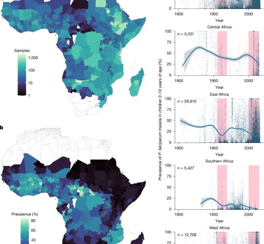 Clima: el calor ya mueve el mapa de la malaria