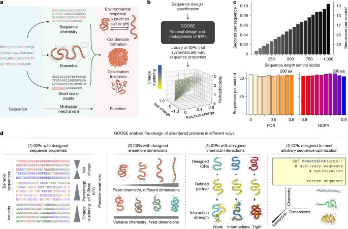 Paper Club: Diseñar proteínas desordenadas para investigar secuencia y función