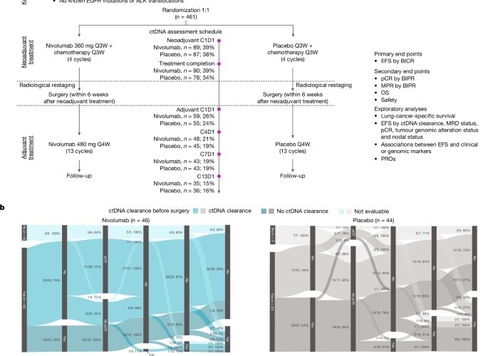 Salud: El ADN tumoral anticipa respuesta al nivolumab
