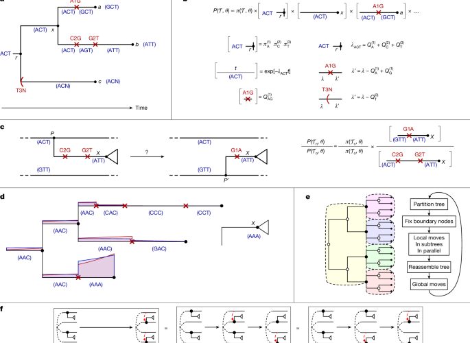 Tecnología: Delphy acelera el análisis genómico de los brotes