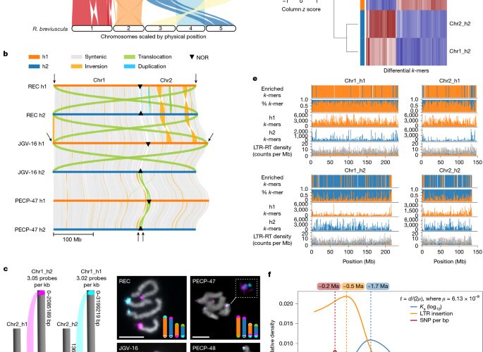 Genética: Sexo que produce descendientes similares a clones