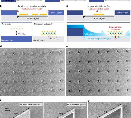 Tecnología: Dirigen dónde nacen los cristales de semiconductores 2D