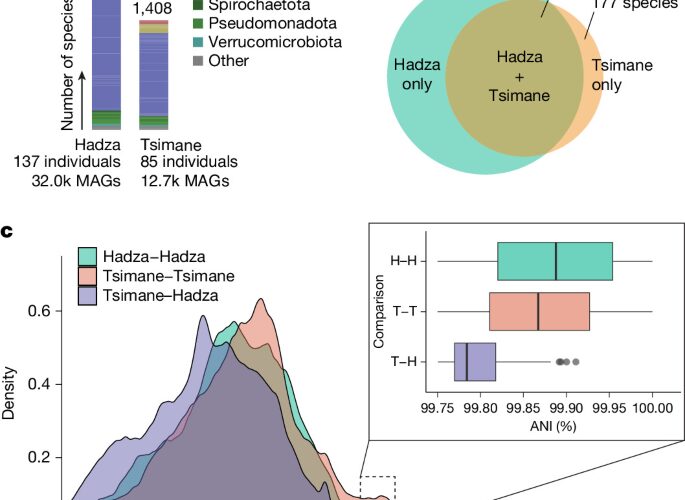Biología: Microbios intestinales guardan rastros de migraciones prehistóricas