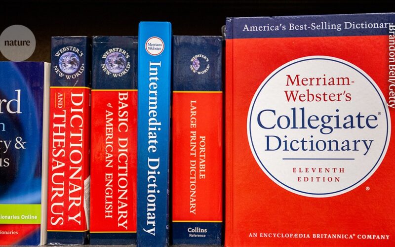 Tecnología: El vocabulario de la IA entra al diccionario